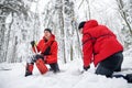 Mountain rescue service on operation outdoors in winter in forest, digging snow with shovels. Royalty Free Stock Photo