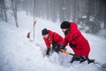 Mountain rescue service on operation outdoors in winter in forest, digging snow with shovels. Royalty Free Stock Photo