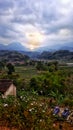 Mountain, ricefield and the cloudy sun