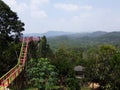 Mountain, ricefield, jungle in afternoon summer and stairs. it is a beautiful view