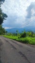 Mountain Ricefield Tree Cloud