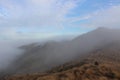 Hiker in Paparoa national park New Zealand Royalty Free Stock Photo