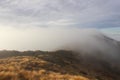 Hiking Paparoa national park New Zealand Royalty Free Stock Photo