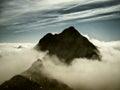 Mountain rising from the fog