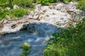 Mountain river, against the mountains forest, originating from a thawing glacier