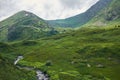 Mountain river among the alpine fields