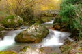 View of a mountain river in autumn Royalty Free Stock Photo