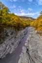 Mountain river in autumn forest. Golden autumn in the forest. Caucasus mountains, Adygea, Russia Royalty Free Stock Photo