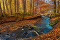 Mountain river in the autumn forest Royalty Free Stock Photo