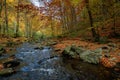 Mountain river in beech forest. beautiful autumnal scenery of carpathian woodland. trees in fall colors Royalty Free Stock Photo