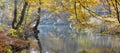 Mountain river in beechen autumn wood Royalty Free Stock Photo