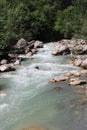 The mountain river with blue water in Abkhazia