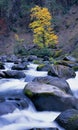 Mountain River and boulders Royalty Free Stock Photo