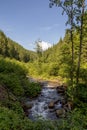 Mountain river, Carpathian