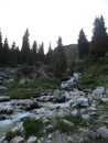 Mountain river, clear water flows over the stones