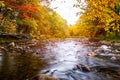 Stunning autumn colours along a mountain river Royalty Free Stock Photo