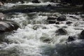 river with crystal clear water and rapids between the rocks and the Amazon jungle Royalty Free Stock Photo