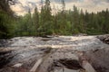 Mountain river, cute fast water flow in green woods