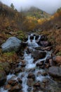 Mountain river with a fast stream and the fores Royalty Free Stock Photo