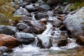 Mountain river. fast stream water. Altai Royalty Free Stock Photo