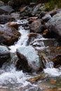 Mountain river. fast stream water. Altai Royalty Free Stock Photo