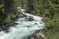 Mountain river. fast stream water. Russia Altai