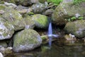 mountain river with ferns stones and moss with crystal clear water horizontal Royalty Free Stock Photo