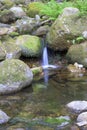 mountain river with ferns stones and moss with crystal clear water in vertical Royalty Free Stock Photo