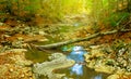mountain river flow through canyon covered by red dry leaves Royalty Free Stock Photo