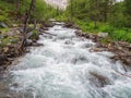 Mountain river flow through forest. Beautiful alpine landscape with azure water in fast river. Power majestic nature of highlands Royalty Free Stock Photo