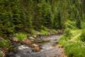 Mountain river flowing through a forest at sunrise Royalty Free Stock Photo