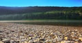 Mountain river flowing through the green forest Royalty Free Stock Photo