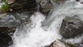 Mountain river flowing through the green forest. Swiss Alps, crystal clear glacial water, mountain spring.