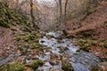 Mountain river flowing among the mossy rocks in a beautiful beech forest with autumn colours Royalty Free Stock Photo