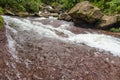 Mountain river flowing at summer forest landscape