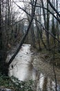 Mountain river flowing between tree forest on a cold winter landscape Royalty Free Stock Photo