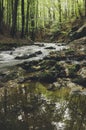 Mountain river flowing trough green forest Royalty Free Stock Photo
