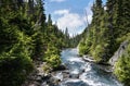 A mountain river flows in a coniferous forest. Rocky path along the river. Trail leads to Garibaldi Lake in Canada on a bright Royalty Free Stock Photo