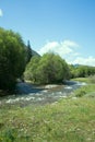 Mountain river flows in forest under bias Royalty Free Stock Photo