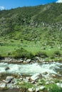 Mountain river flows in forest under bias Royalty Free Stock Photo