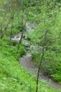 Mountain river flows in forest under a bias Royalty Free Stock Photo