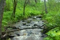 Mountain river flows in forest under a bias Royalty Free Stock Photo