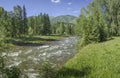 The mountain river flows among the green forest Royalty Free Stock Photo