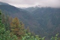 mountain river flows among trees mountain ridge with morning clouds Royalty Free Stock Photo