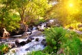 Mountain river, forest and bright sun