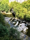 Mountain river in the forest with islands of rock