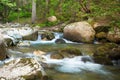 Mountain river in the forest long Royalty Free Stock Photo