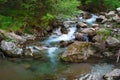 Mountain river in the forest long Royalty Free Stock Photo