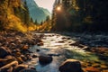 Mountain River and Forest in North Cascades National Park, Washington, USA Royalty Free Stock Photo