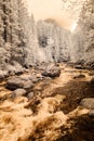 mountain river in forest in Slovakia. autumn colors. infrared im